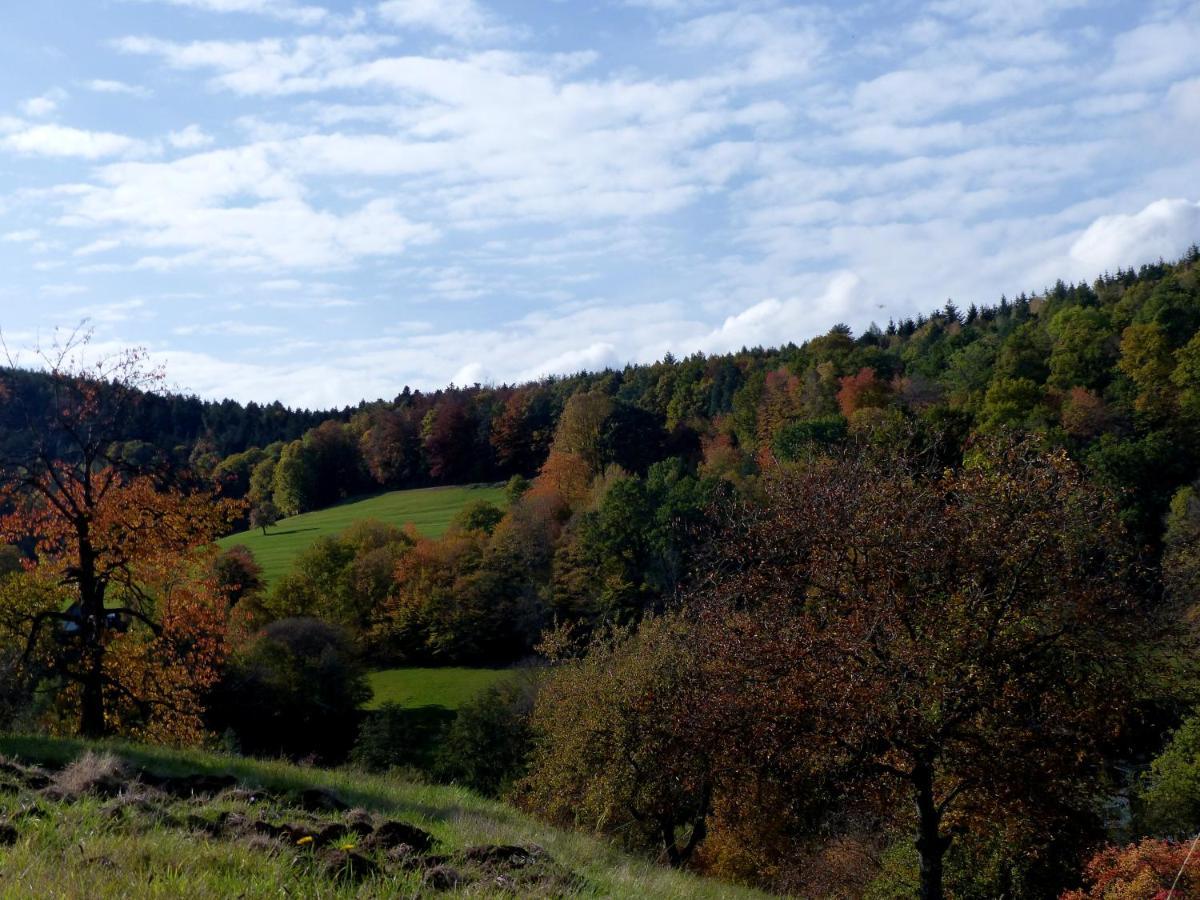 Au Chalet De Jo Muhlbach-sur-Munster Eksteriør billede