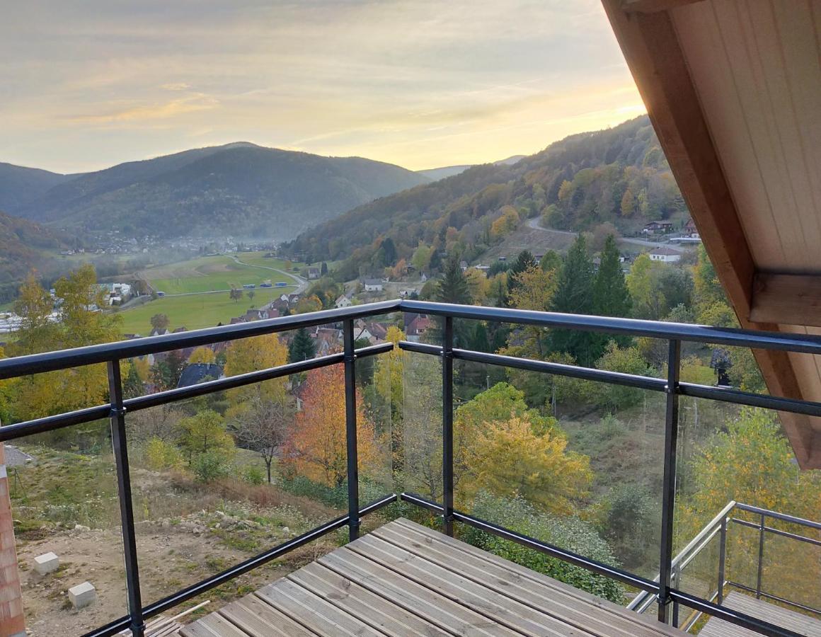 Au Chalet De Jo Muhlbach-sur-Munster Eksteriør billede