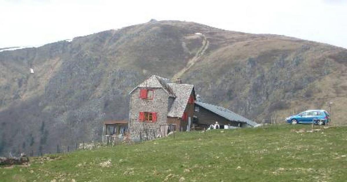 Au Chalet De Jo Muhlbach-sur-Munster Eksteriør billede