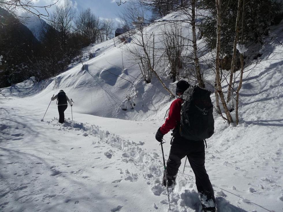 Au Chalet De Jo Muhlbach-sur-Munster Eksteriør billede