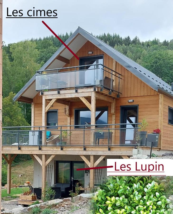 Au Chalet De Jo Muhlbach-sur-Munster Eksteriør billede