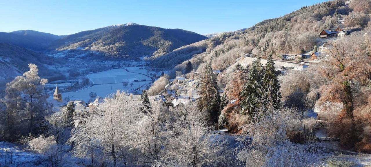 Au Chalet De Jo Muhlbach-sur-Munster Eksteriør billede