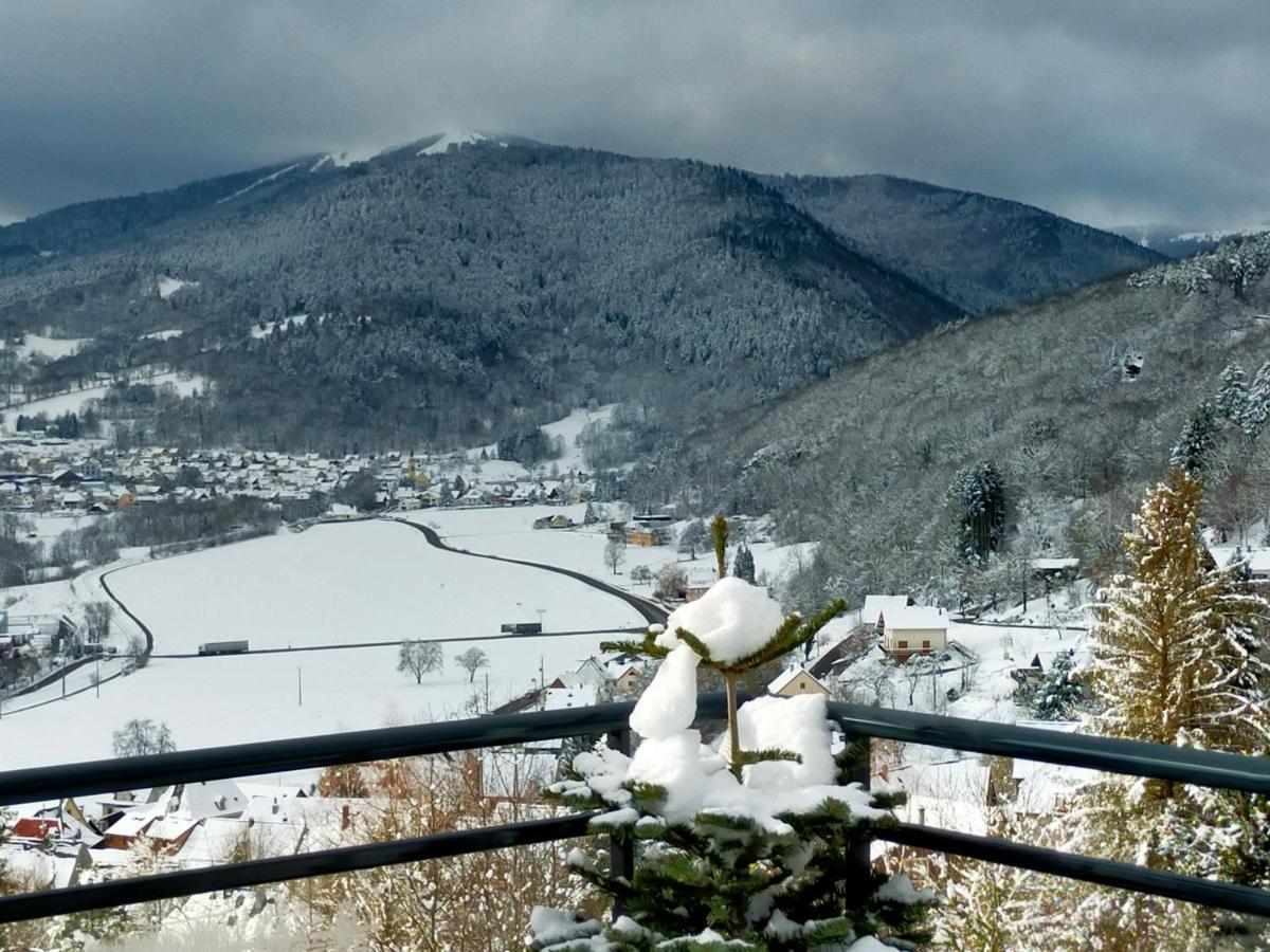 Au Chalet De Jo Muhlbach-sur-Munster Eksteriør billede